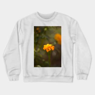 Marigold VII Crewneck Sweatshirt